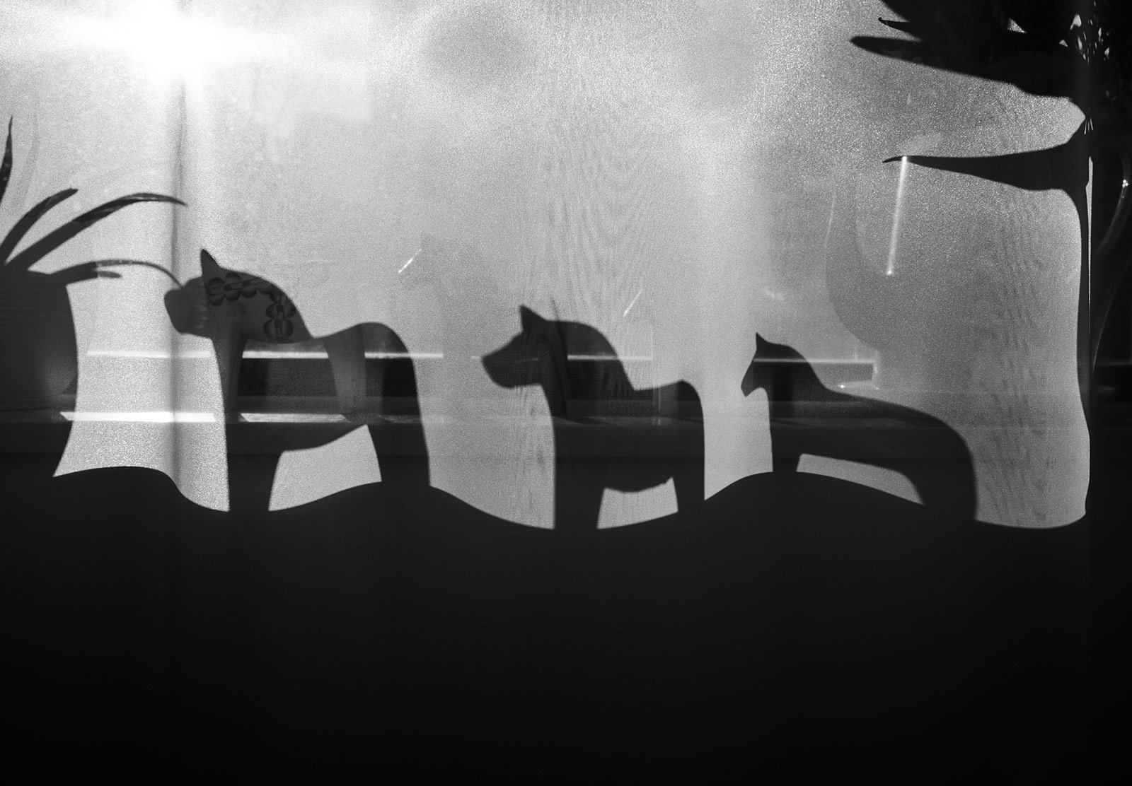 Silhouettes of wooden horses