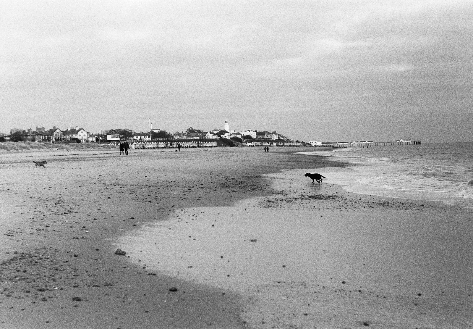 Far away figures on beach