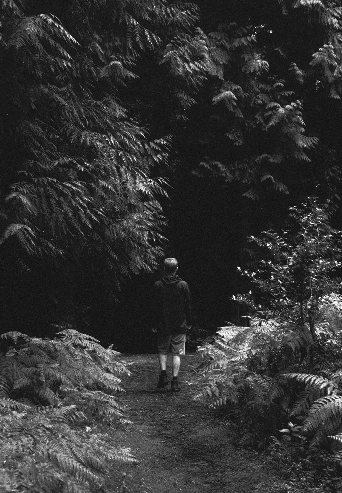 Man walking in dark forest