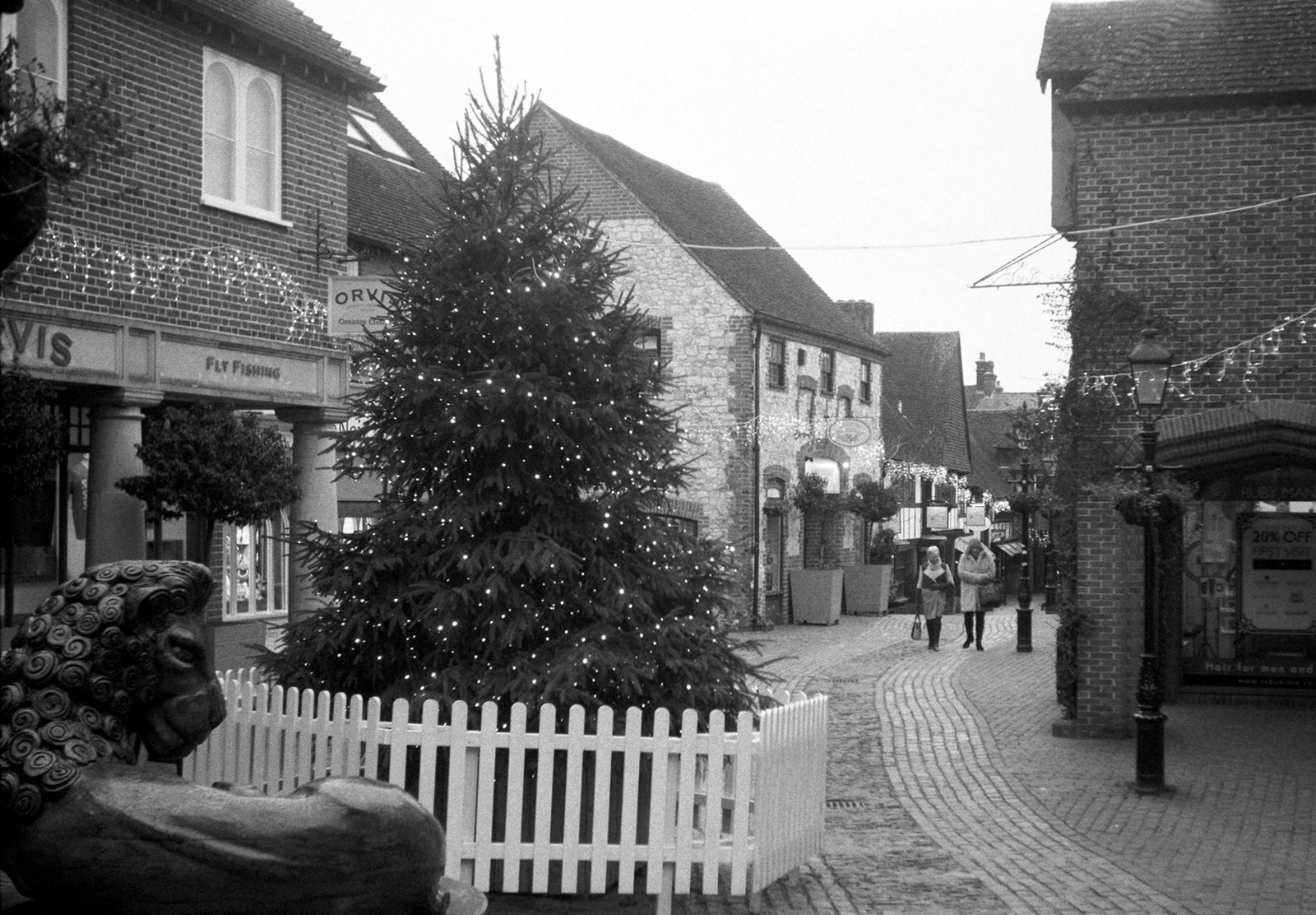 Christmas tree on cobbled street