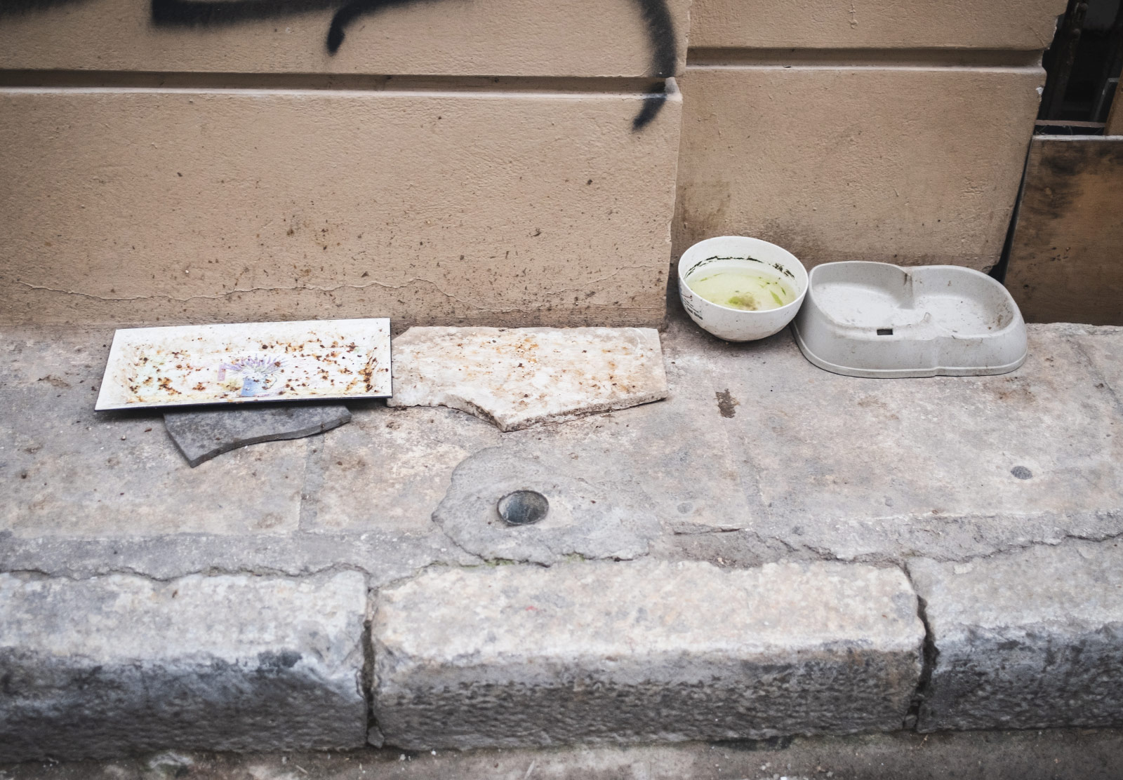 Empty catfood trays