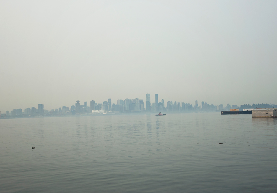 View over misty shoreline