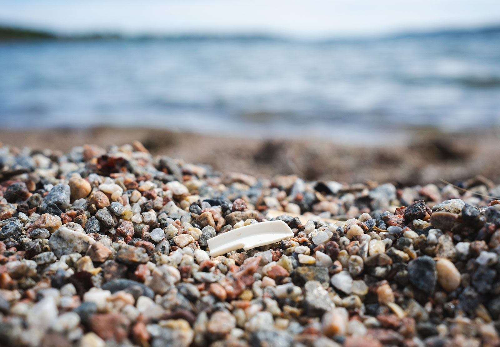 Piece of white plastic on sand