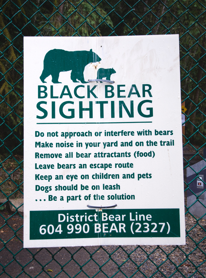 Bear warning sign