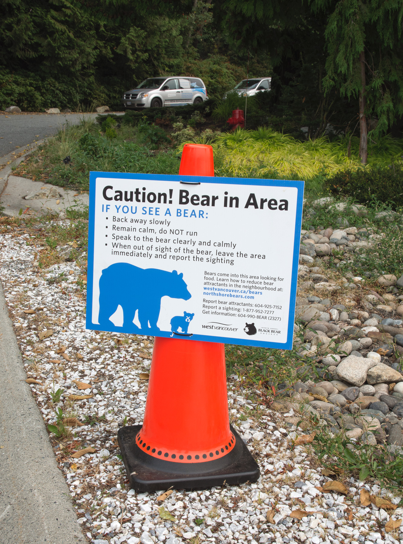 Bear warning sign on cone