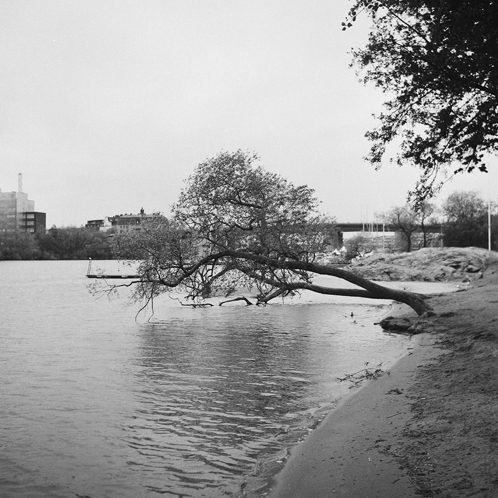 Bending tree