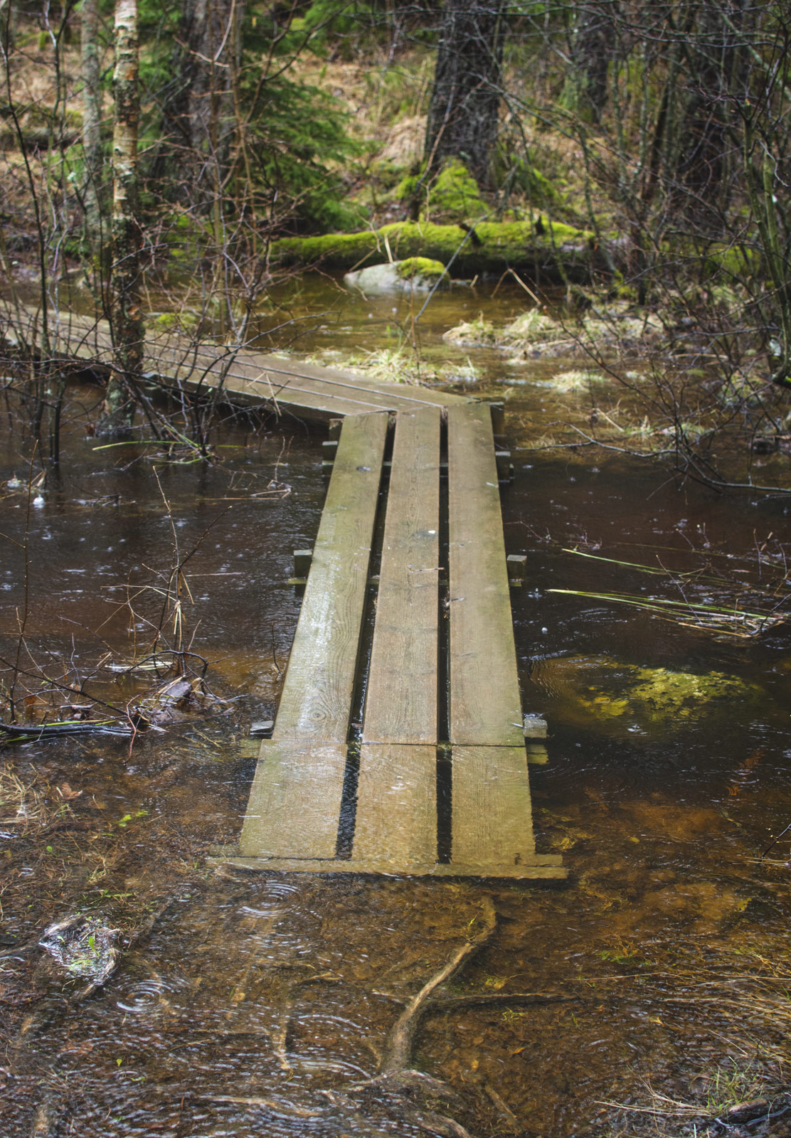 Wooden board in water