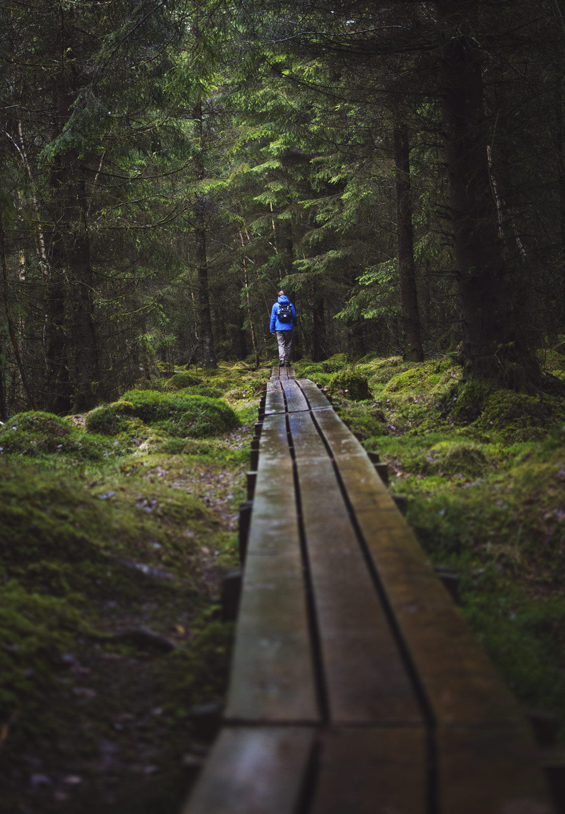 Man walking in the distance