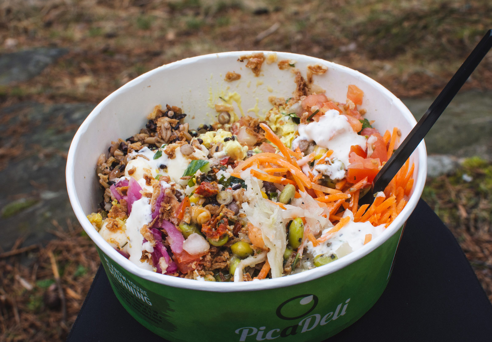 Bowl of salad