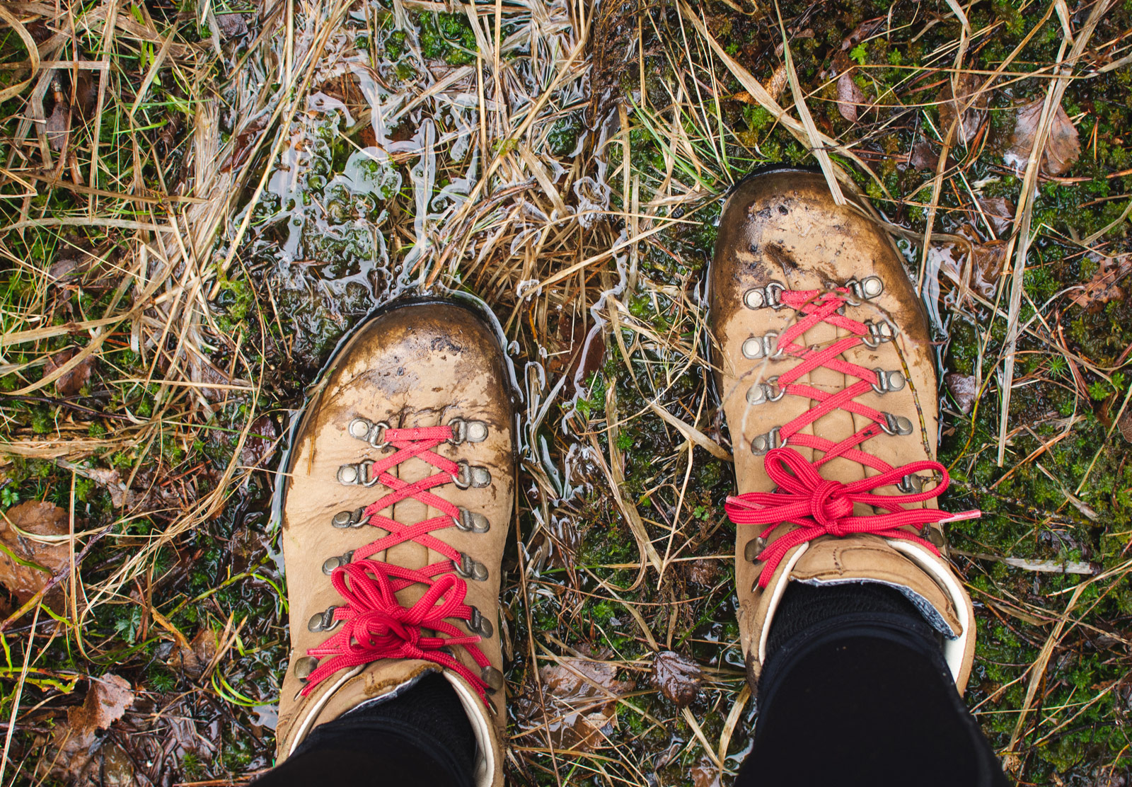 Hiking boots on boggy ground