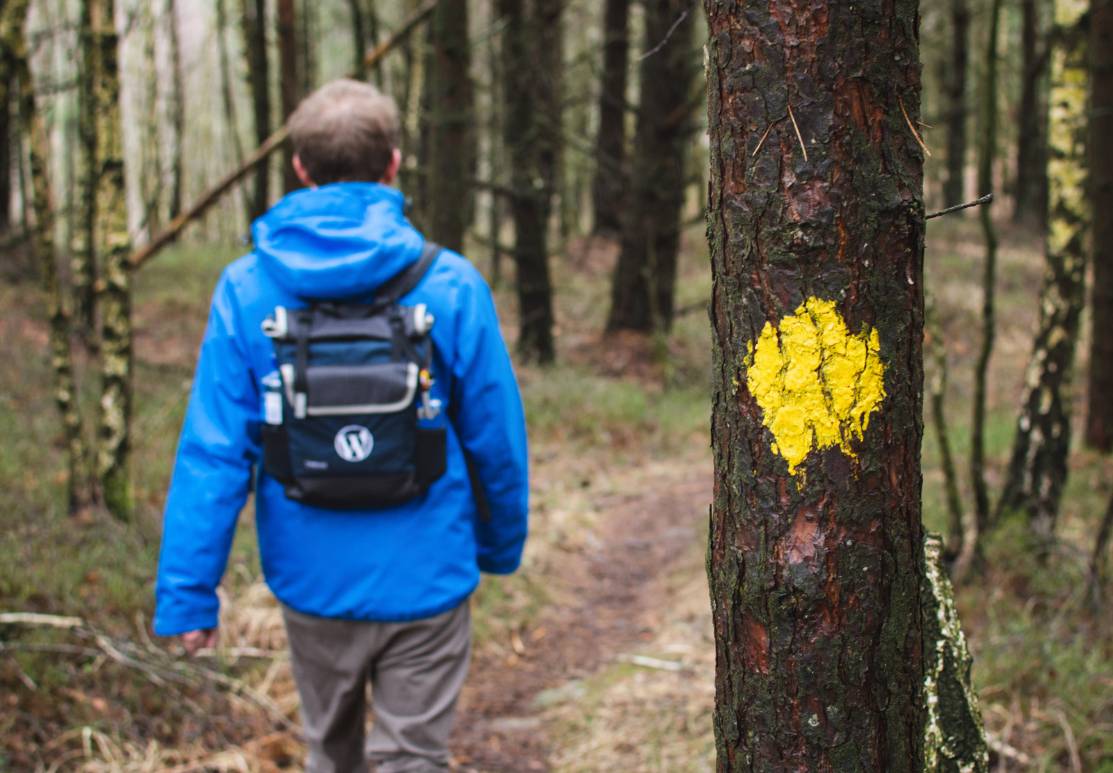 Paint marker on tree