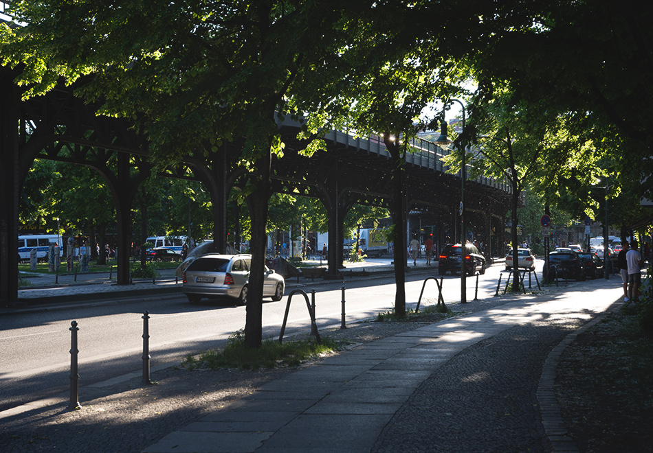 Tree lined road