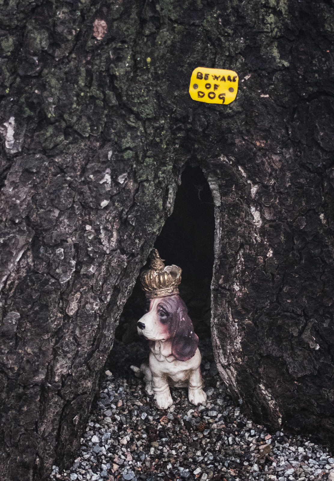 Plastic dog under beware sign