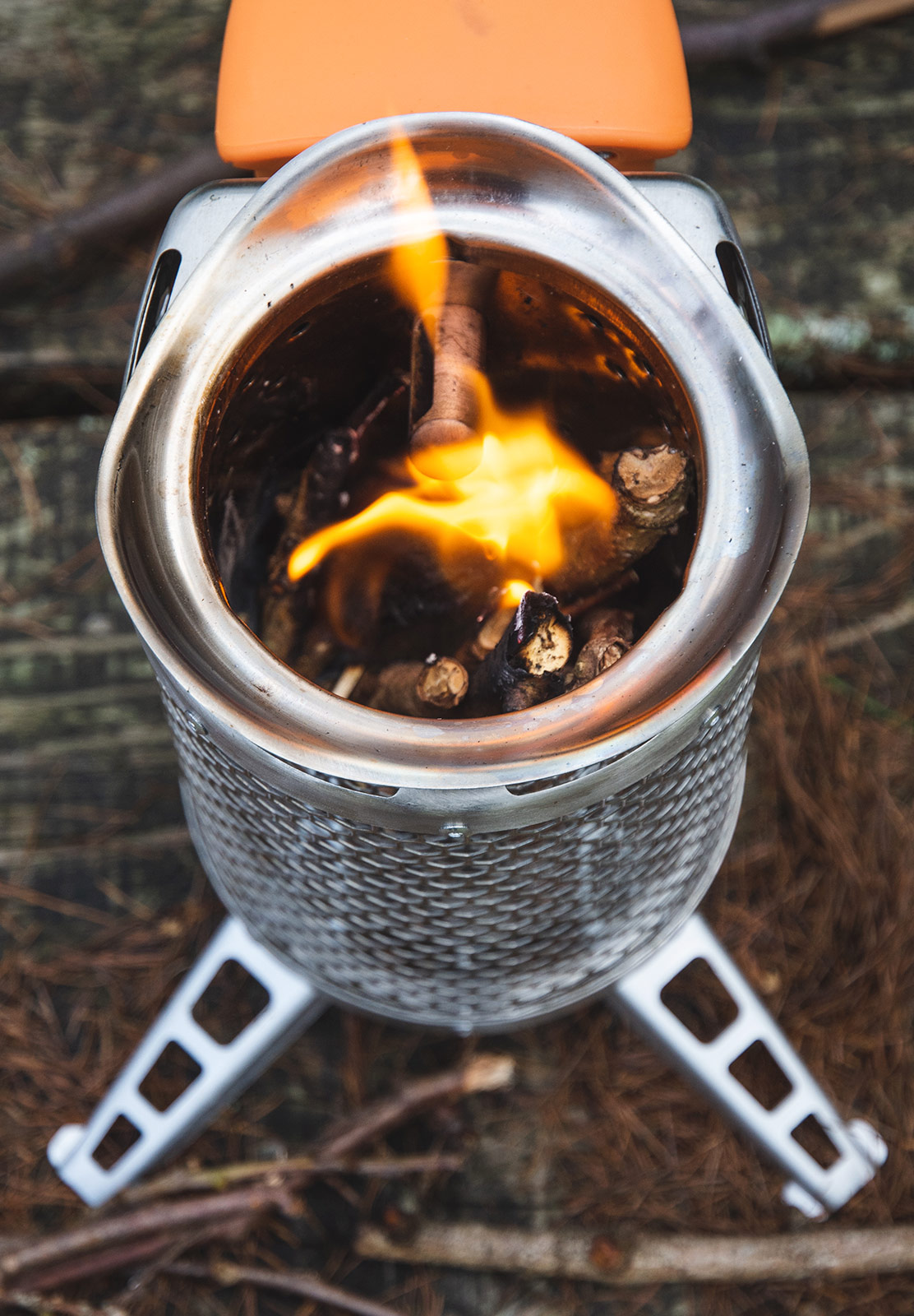 Twigs burning