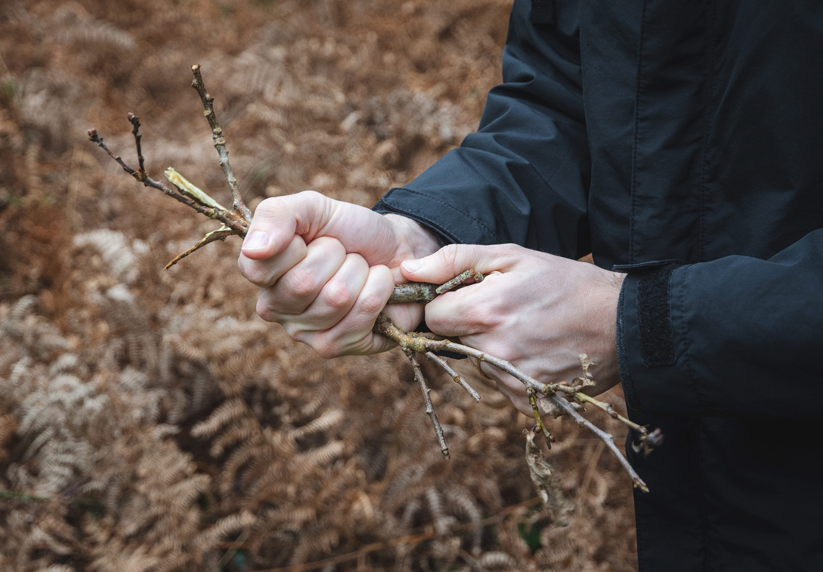 Man snapping twigs