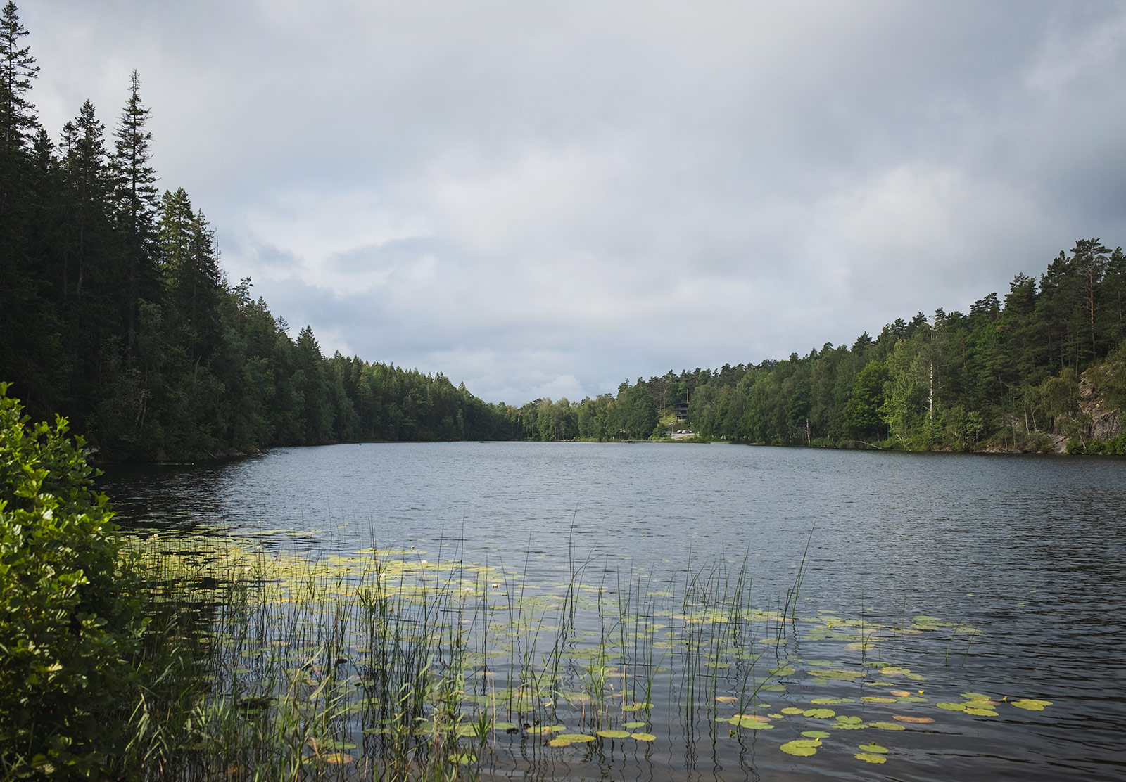 View down tree lined lake