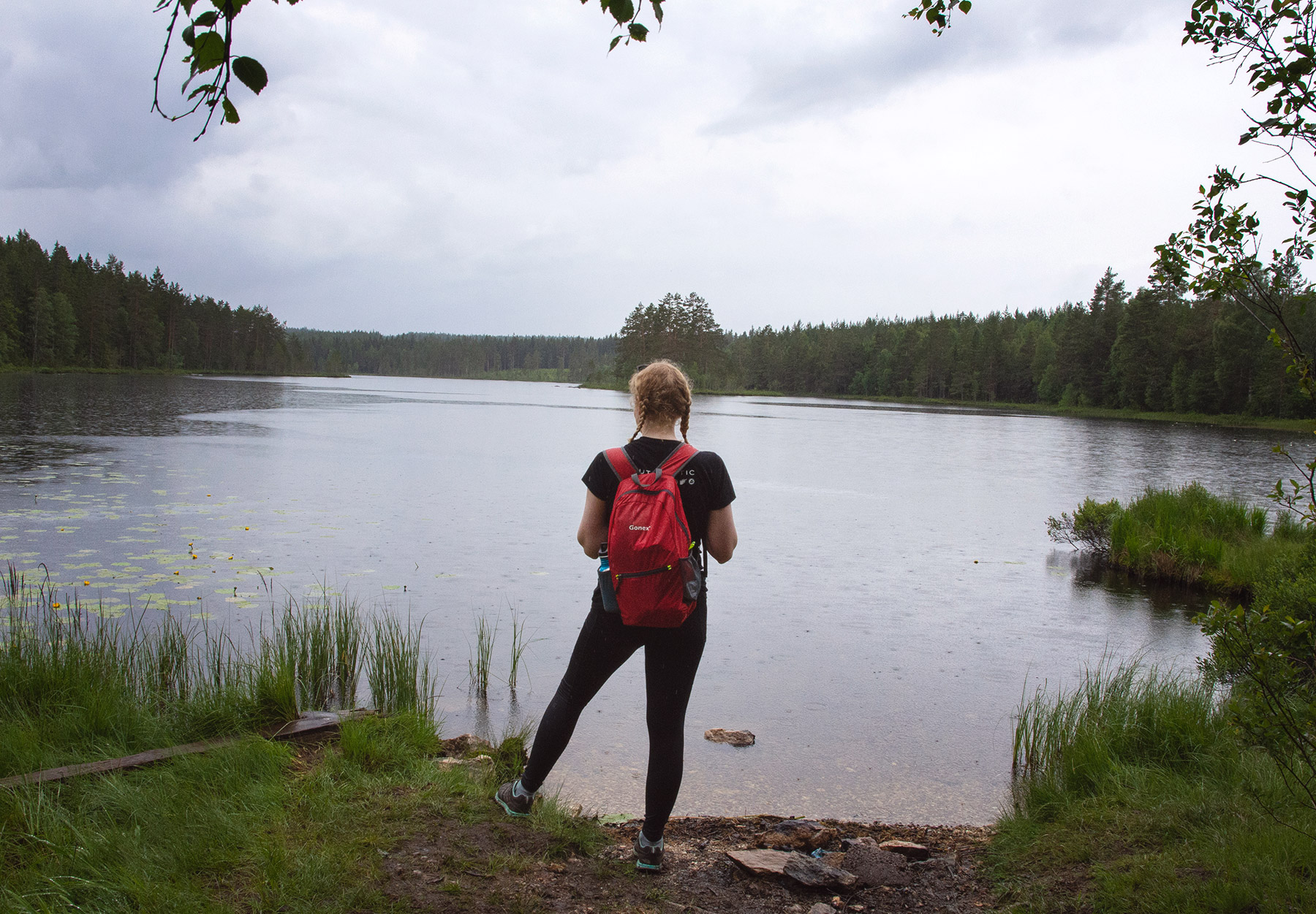 Lake view
