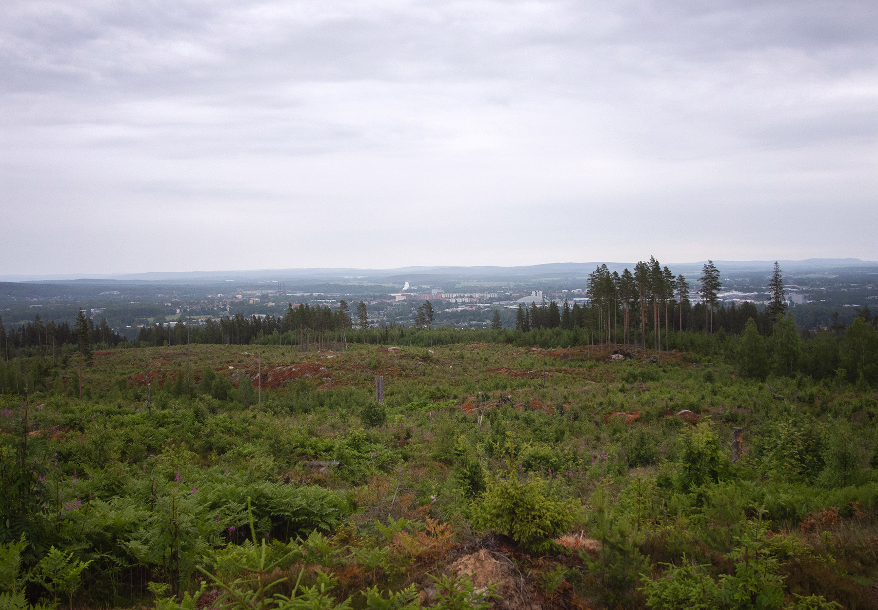 View over town