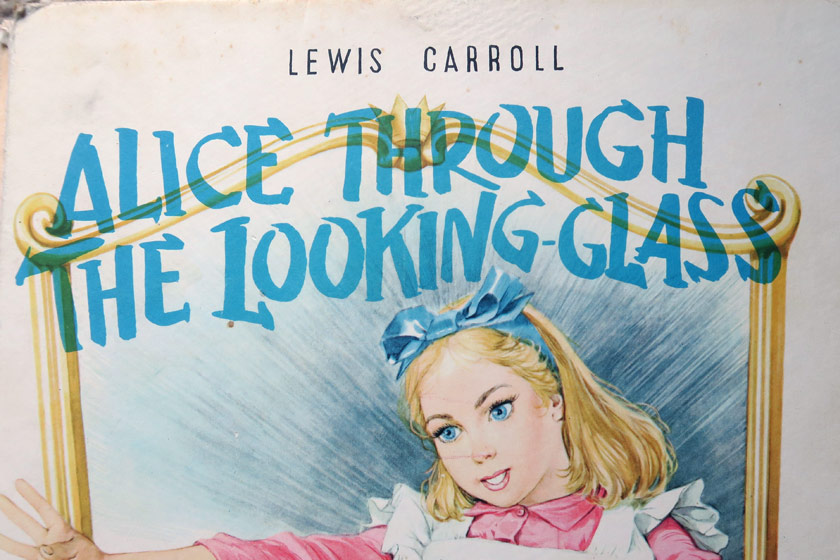 Illustrated book cover