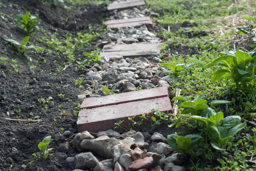 Path made from stones and bricks