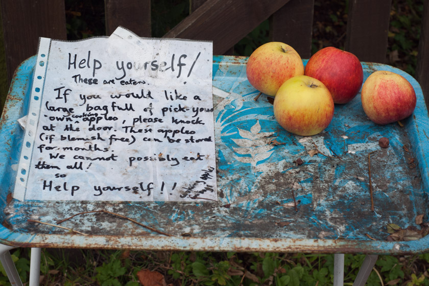 Tray of apples