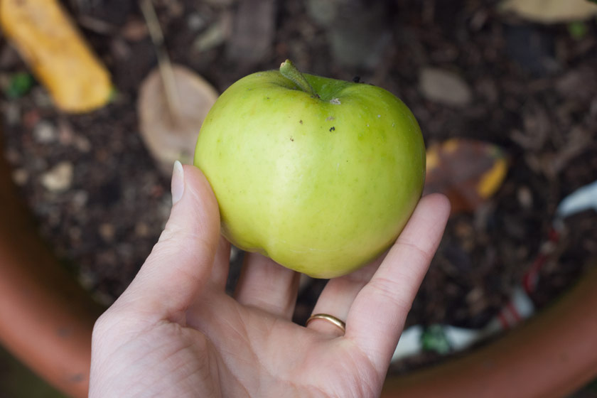 Green apple