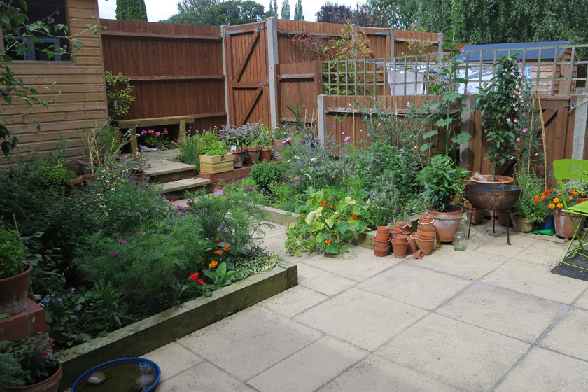 View of back garden