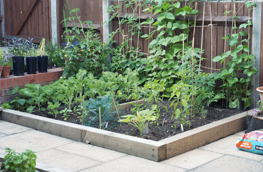 Raised vegetable bed