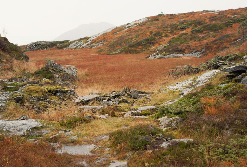 Brown and orange mountain top