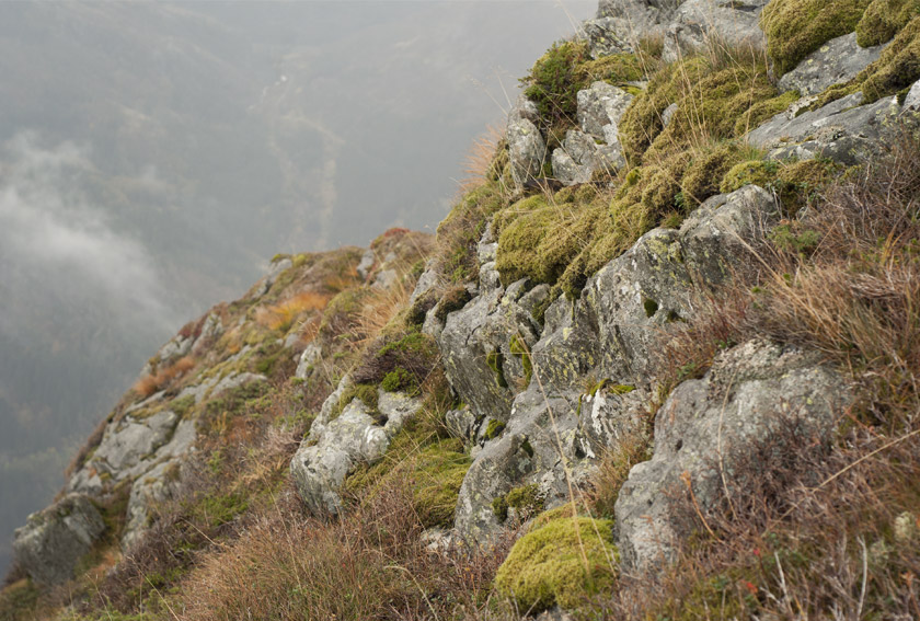 View from Mount Ulriken