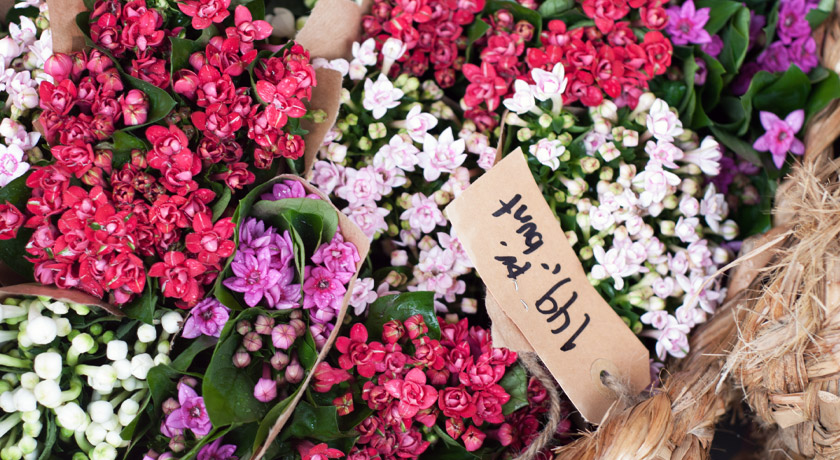 Red, pink, purple and white flowers
