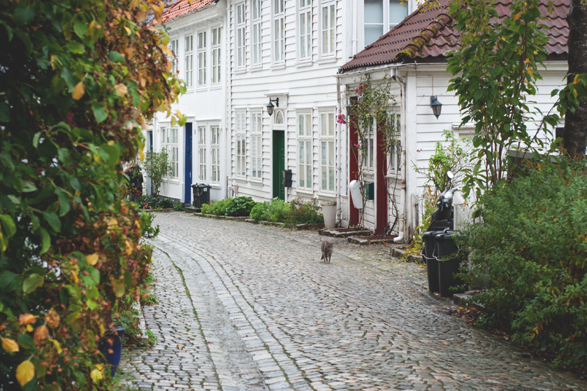 Row of wooden houses