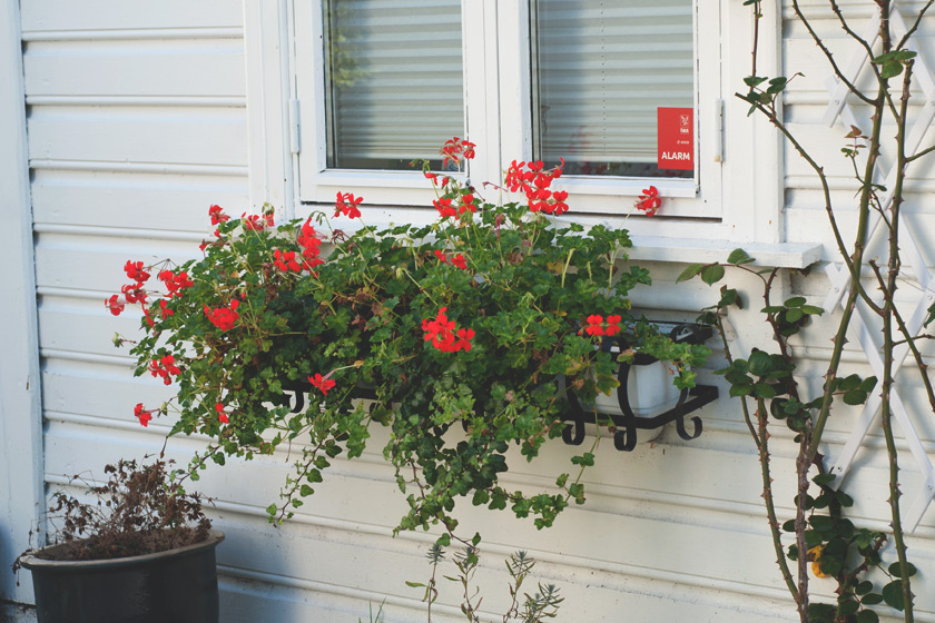Windowbox
