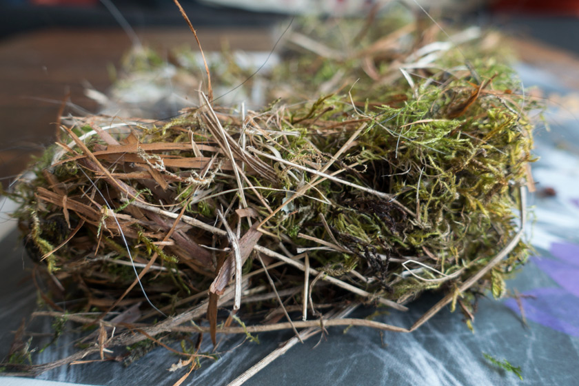 Closeup of nesting materials