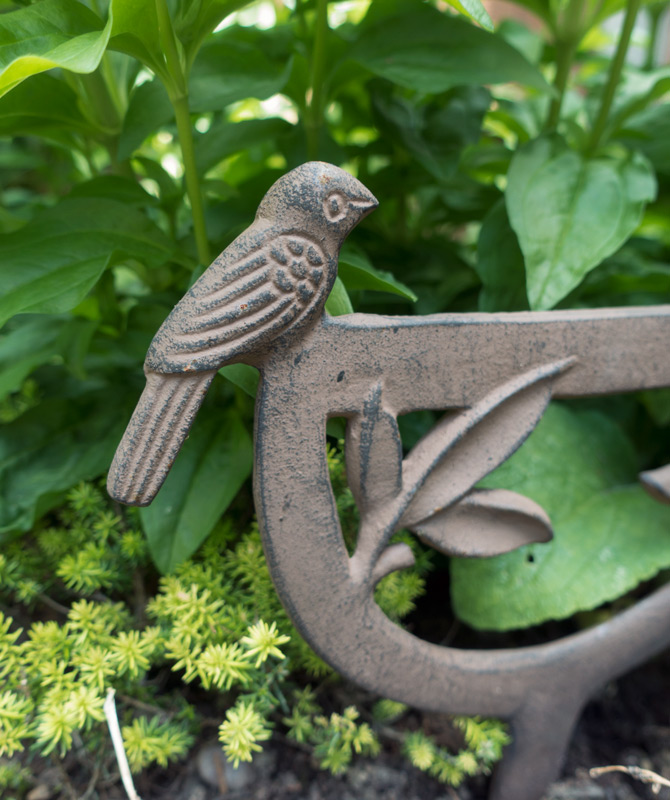 Metal bird spike