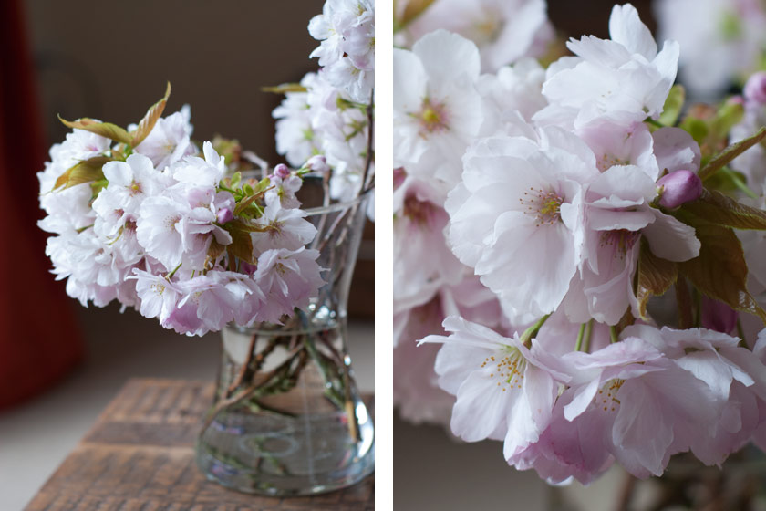 Vase of white and pink blossom
