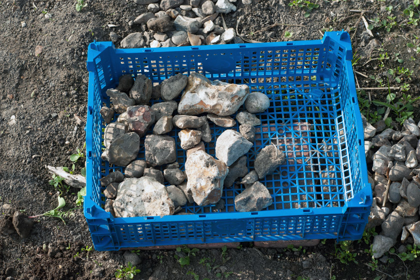 Stones in blue plastic crate