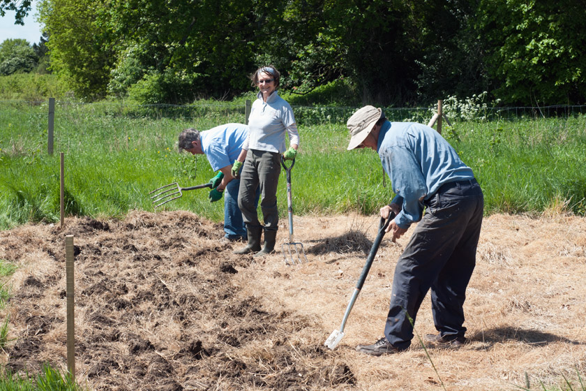 Volunteers digging over ground