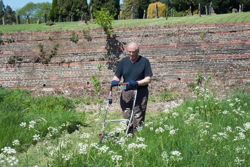 Volunteer mowing grass