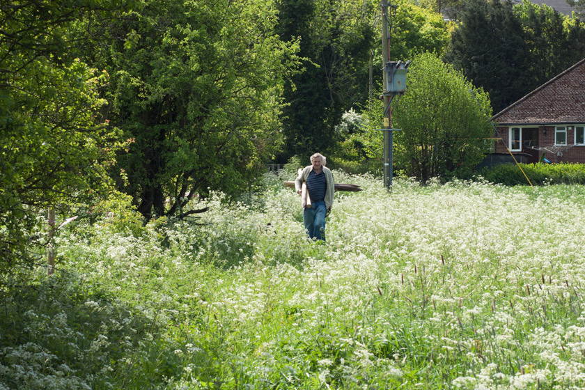 Volunteers carrying fence posts