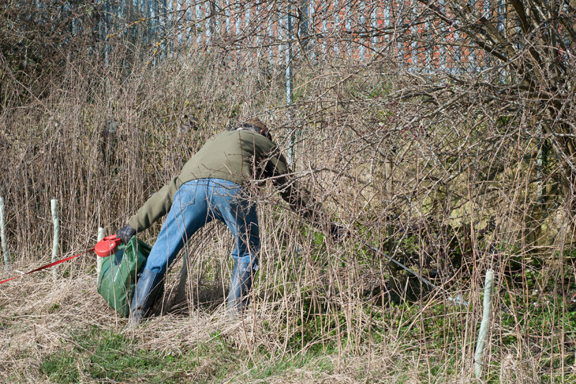 Man picking litter in bushes