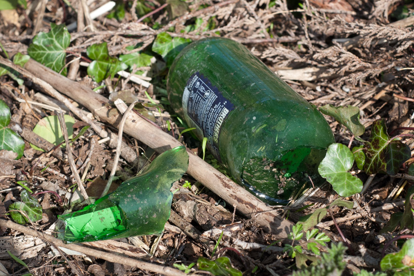 Broken bottle in grass
