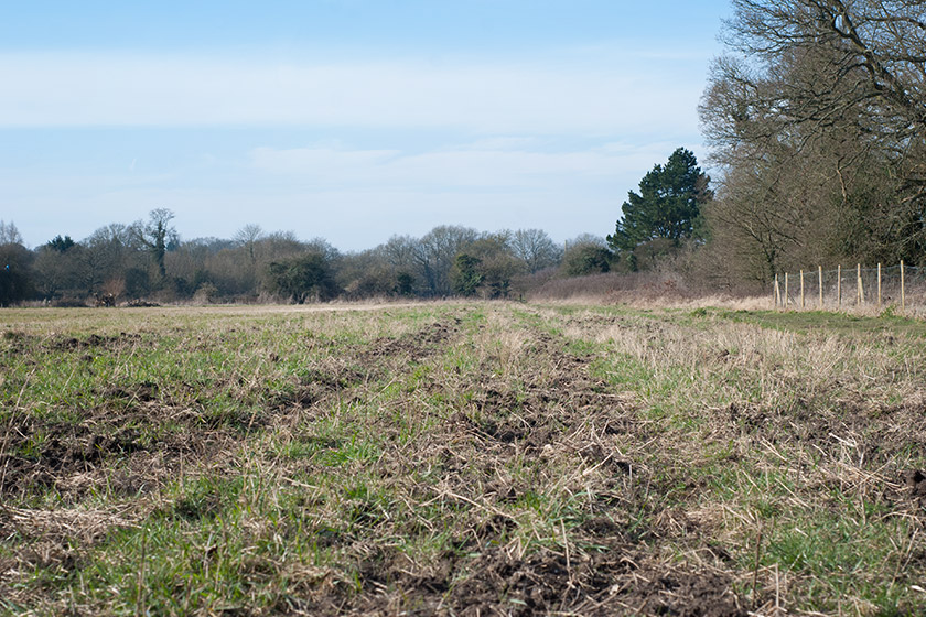 View of Bishop's Meadow