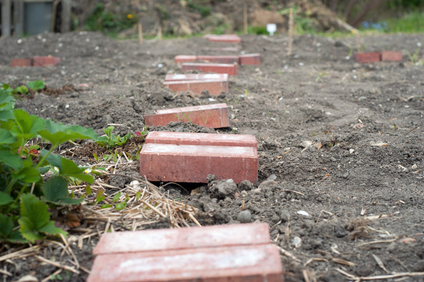 Red brick steps