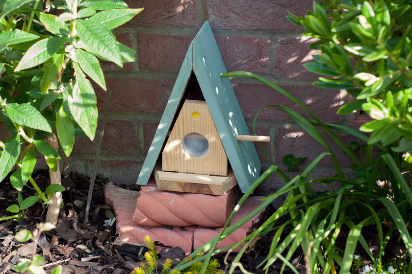 Wooden butterfly home