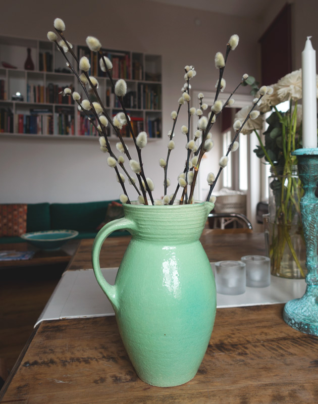 Catkins in jug
