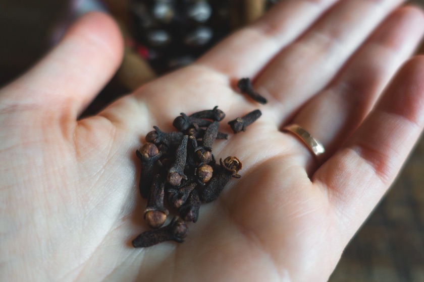 Cloves in hand