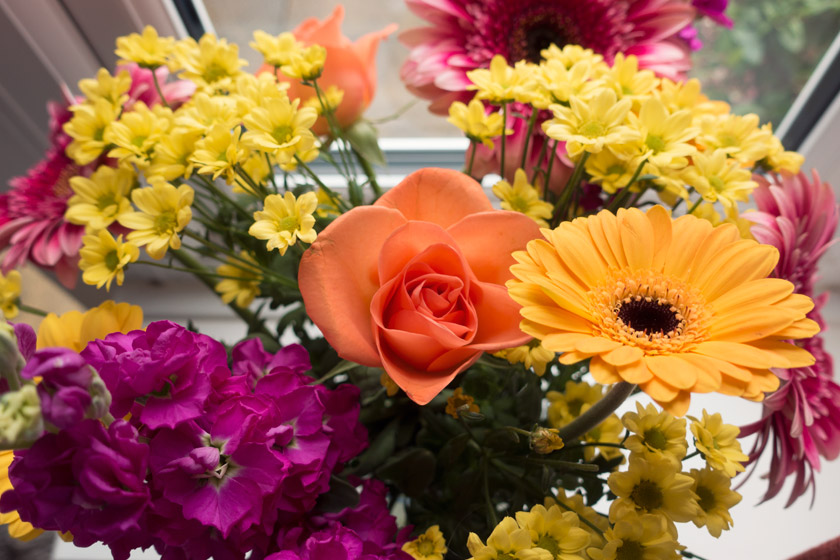 Colourful flowers