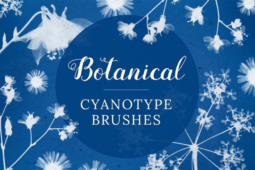 Botanical cyanotype