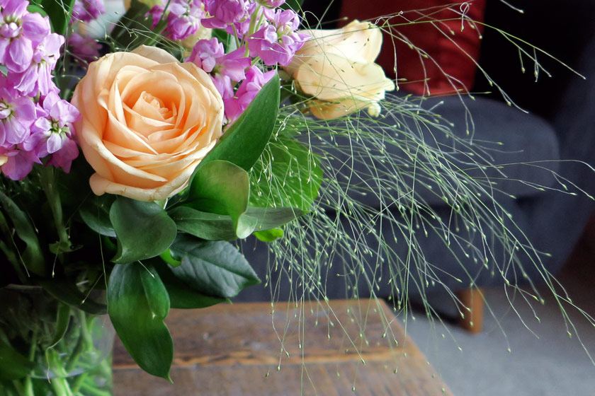 Fountain grass in vase